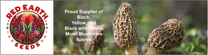 Welcome to RedEarthSeeds.Com